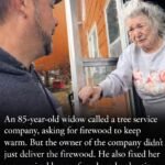 How One Simple Firewood Request Sparked a Heartwarming Chain of Kindness