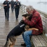 When Commands Collide With Compassion: The K-9 Encounter That Left Officers and Witnesses Stunned