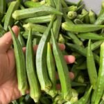 Why Okra Keeps Showing Up in Traditional Diets—and Modern Health Conversations