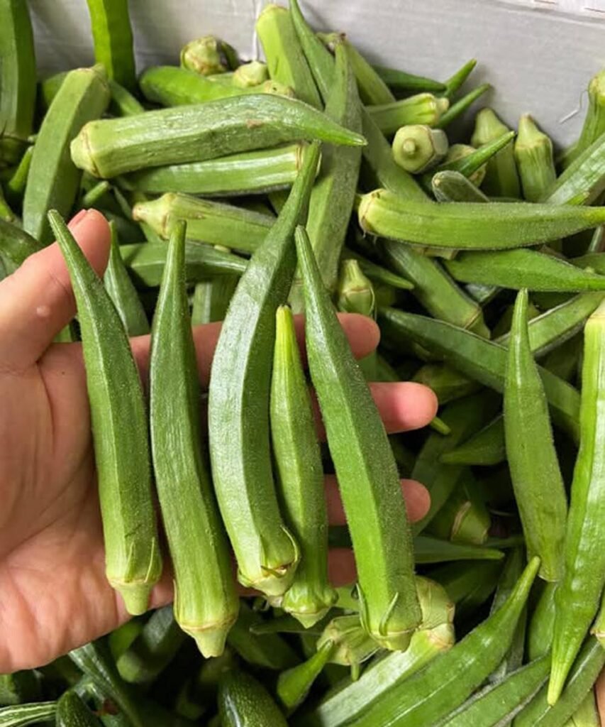 Why Okra Keeps Showing Up in Traditional Diets—and Modern Health Conversations