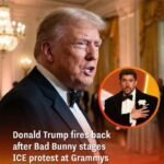 When a Grammy Night Protest Sparks a Viral Trump Reaction