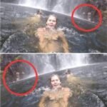 The “I Didn’t See It at First Either” Puzzle: Why These Images Grip Us