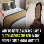 Why Hotel Beds Always Have Blankets, Even When the Room Is Warm