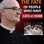 What It Really Means to Share Your Home With a Cat