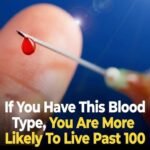 Can Your Blood Type Influence How Long You Live? What Research Suggests — and What It Doesn’t