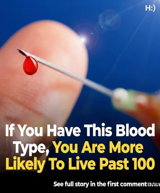 Can Your Blood Type Influence How Long You Live? What Research Suggests — and What It Doesn’t
