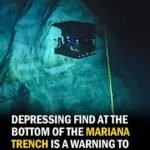 Plastic in the Mariana Trench: Why the Deepest Place on Earth Is No Longer Untouched