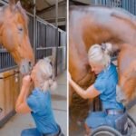 A Bond Beyond Words — The Quiet Connection Between a Woman and Her Horse