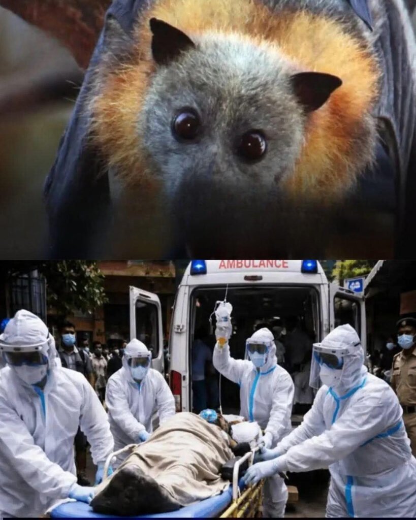 “Humanity Is in Danger” — What These Warnings Really Mean