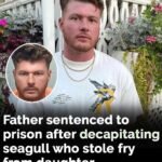 A Beachside Confrontation Led to Legal Consequences — And Sparked a Wider Conversation