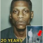 He Spent Years Showing Up for a Dog — What Happened in the End Moved Everyone