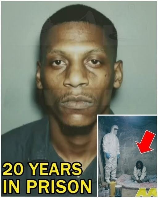 He Spent Years Showing Up for a Dog — What Happened in the End Moved Everyone