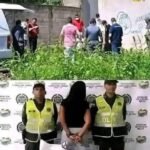 She Was Finally Caught — But the Story Behind It Left People Stunned