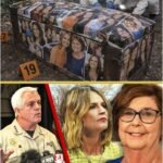 A Case That Captured Public Attention — What Happens After Loss Becomes an Investigation