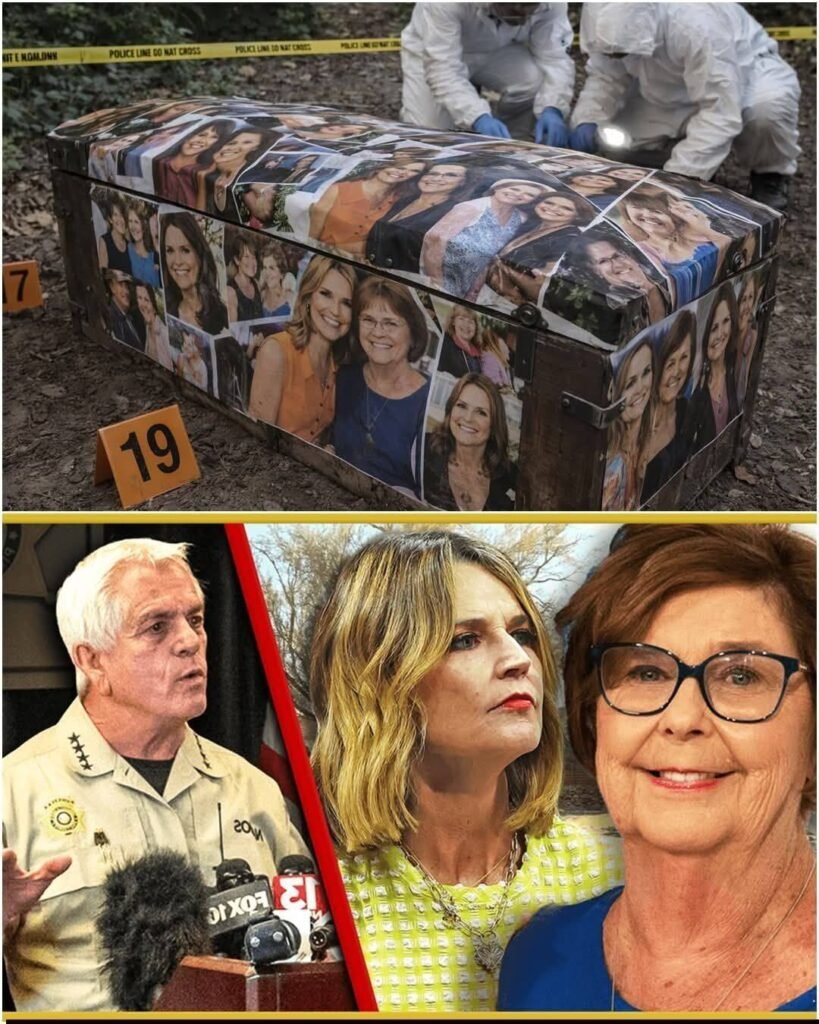 A Case That Captured Public Attention — What Happens After Loss Becomes an Investigation