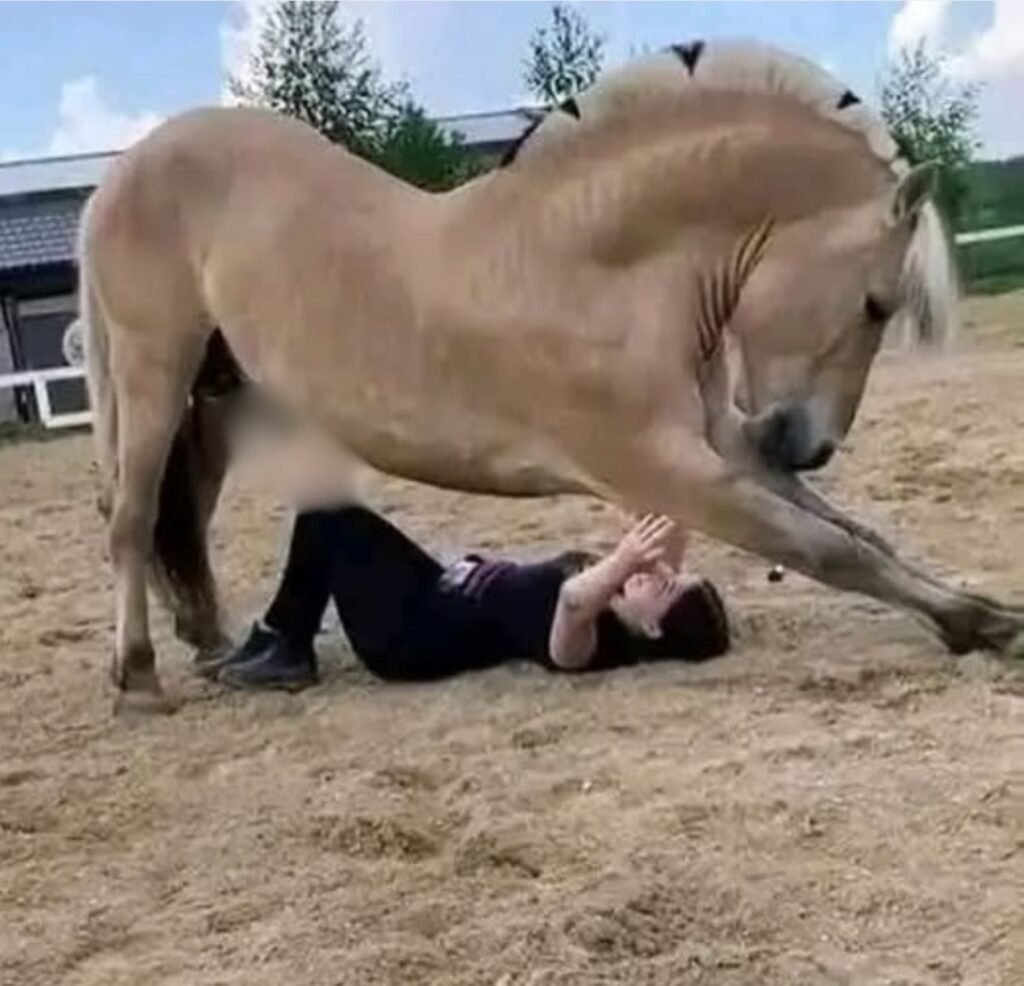 A Moment at the Zoo Turned Into an Emergency No One Expected