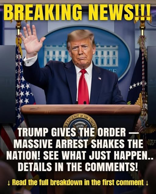 Arrest Made After Months-Long Investigation as Authorities Piece Together a Complex Case