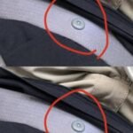 The Small Button on Your Seat Belt: Why That Tiny Detail Matters More Than You Think