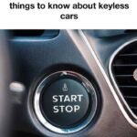 When a Simple Object Sparks Curiosity: Why Everyday Things Sometimes Go Unnoticed