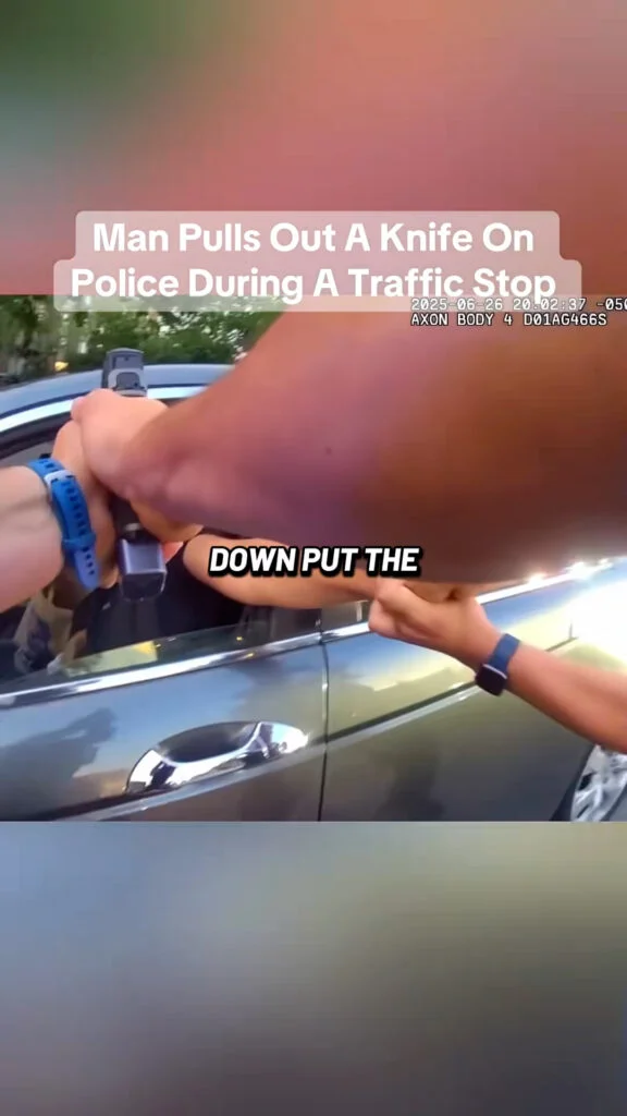 A Traffic Stop Turns Dangerous After a Sudden Move — Understanding What Happened