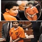 What Began as a Routine Call Took a Turn No One Expected