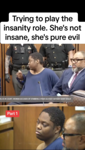 Courtroom Erupts as Judge Rejects Woman’s Insanity Defense in Shocking Murder Trial